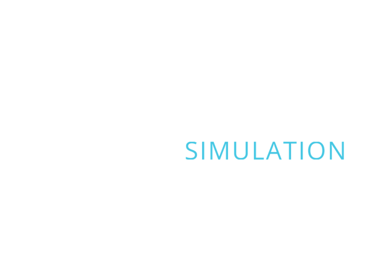 Amisse Simulation