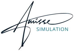 Amisse Simulation